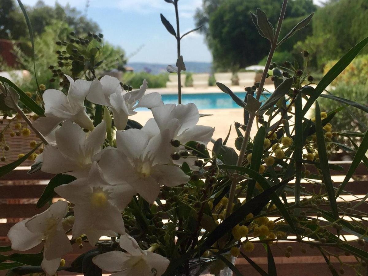 Lovely "Provence" Villa With Sea View, Private Heated Pool, Airco And Beautiful Garden 格里莫 外观 照片